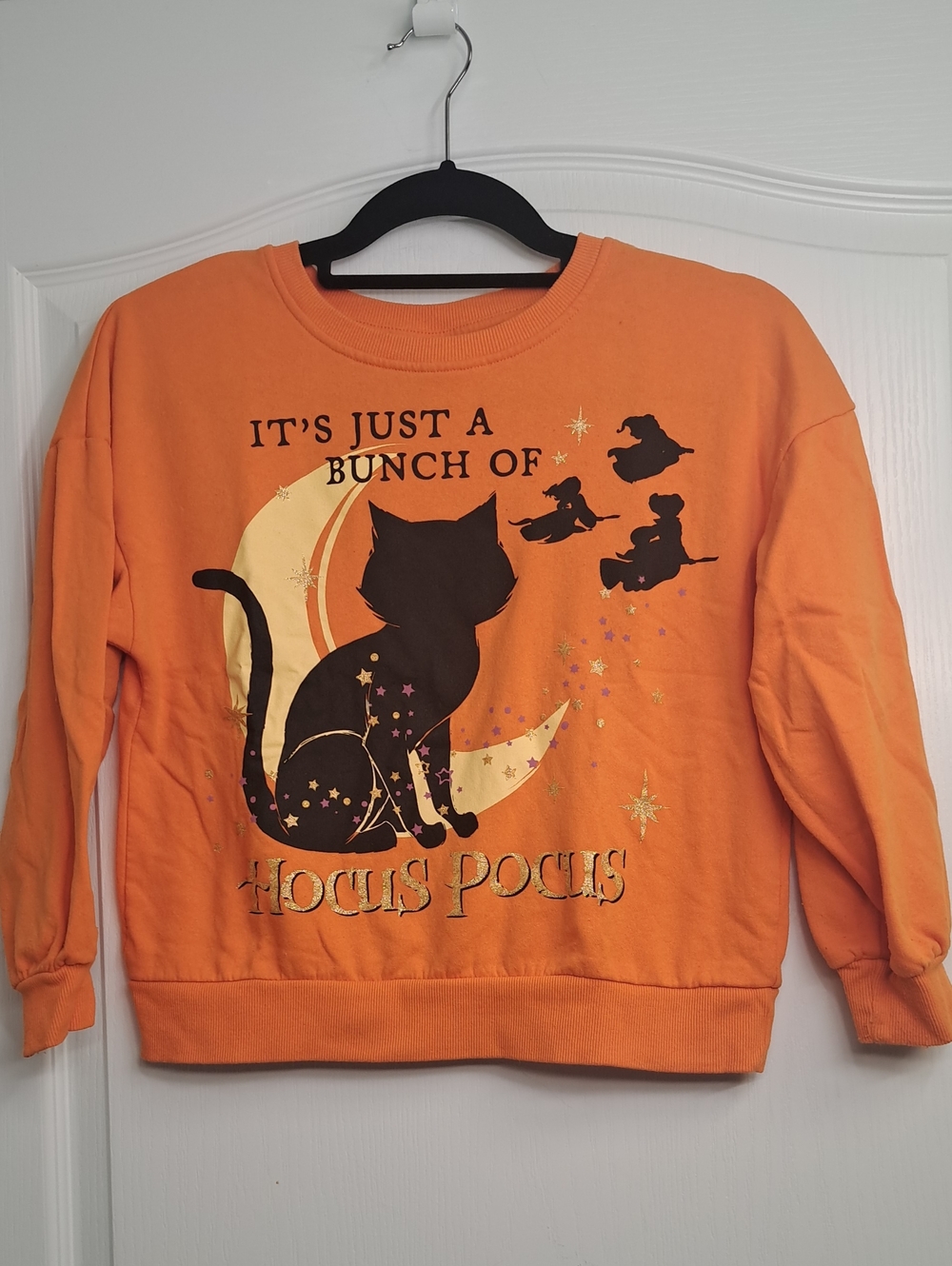 Hocus Pocus Disney Cat Sweatshirt Hallowen